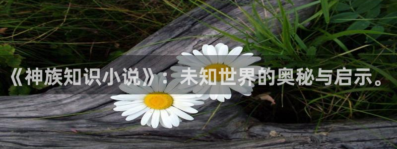 海棠御书屋小说